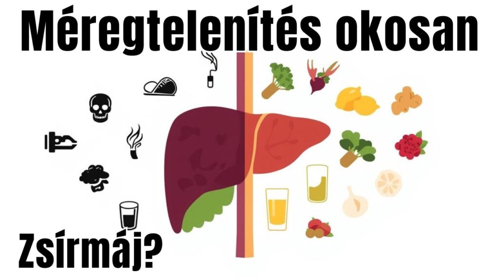 méregtelenítés okosan, méregtelenítő kúra, méregtelenítő ételek és italok, méregtelenítő étrend és receptek, zsírmáj okai, legfontosabb szabályok és megoldások egy helyen